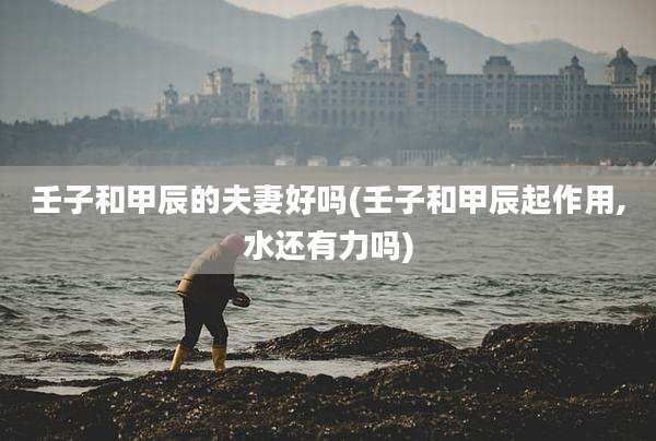 壬子和甲辰的夫妻好吗(壬子和甲辰起作用,水还有力吗)