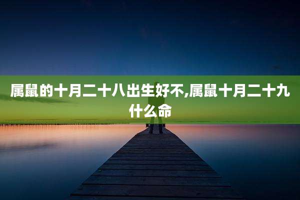 属鼠的十月二十八出生好不,属鼠十月二十九什么命