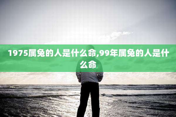 1975属兔的人是什么命,99年属兔的人是什么命