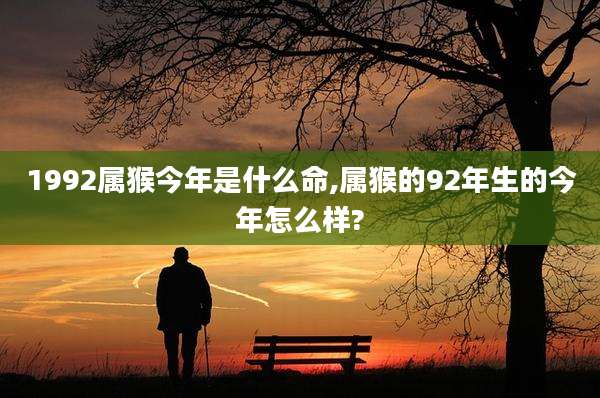 1992属猴今年是什么命,属猴的92年生的今年怎么样?