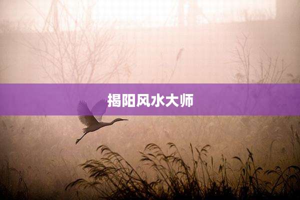 揭阳风水大师