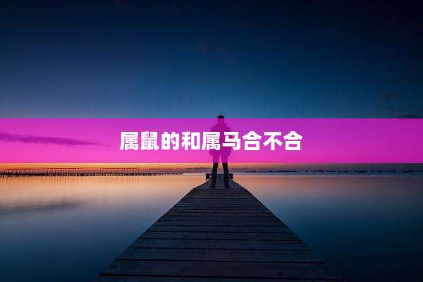 属鼠的和属马合不合