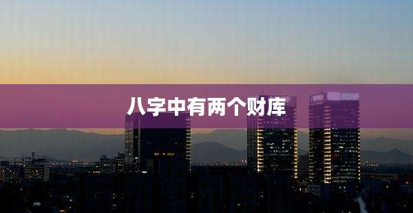 八字中有两个财库