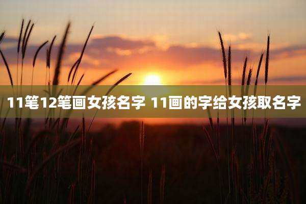 11笔12笔画女孩名字 11画的字给女孩取名字