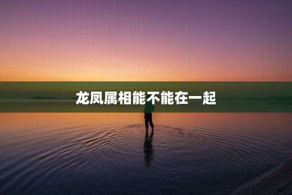 龙凤属相能不能在一起