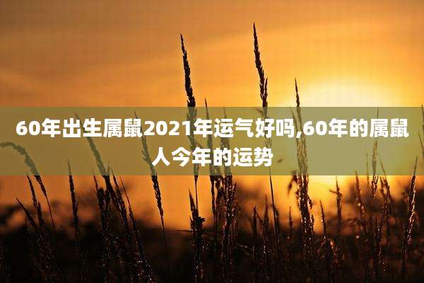 60年出生属鼠2021年运气好吗,60年的属鼠人今年的运势