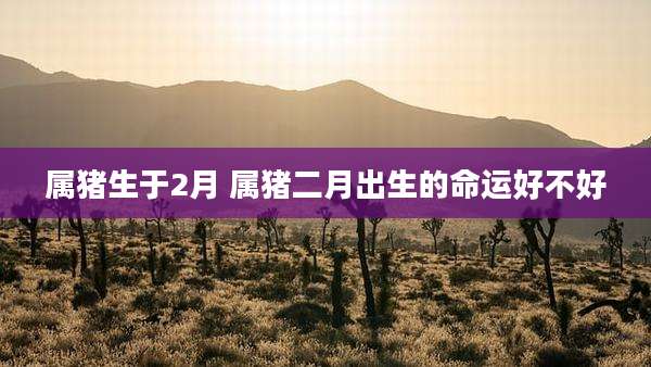 属猪生于2月 属猪二月出生的命运好不好