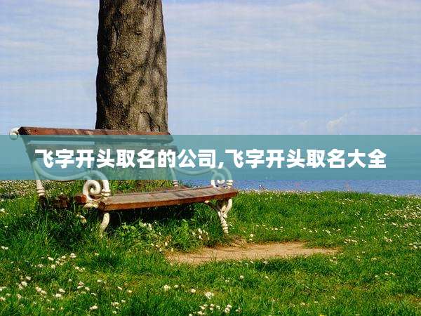 飞字开头取名的公司,飞字开头取名大全