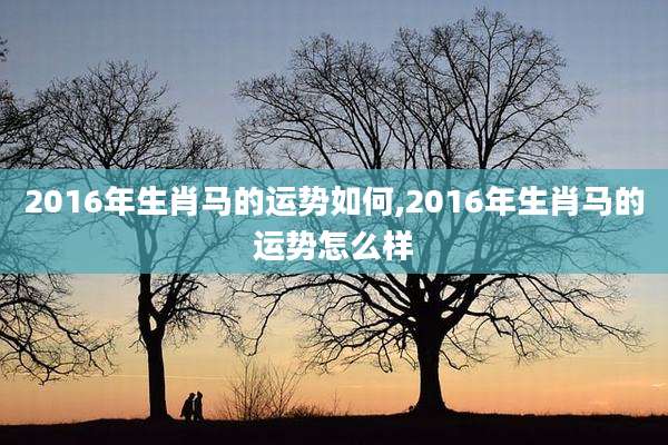 2016年生肖马的运势如何,2016年生肖马的运势怎么样