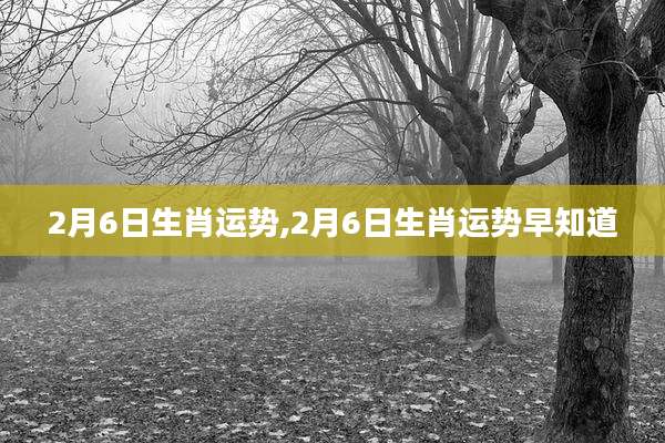 2月6日生肖运势,2月6日生肖运势早知道