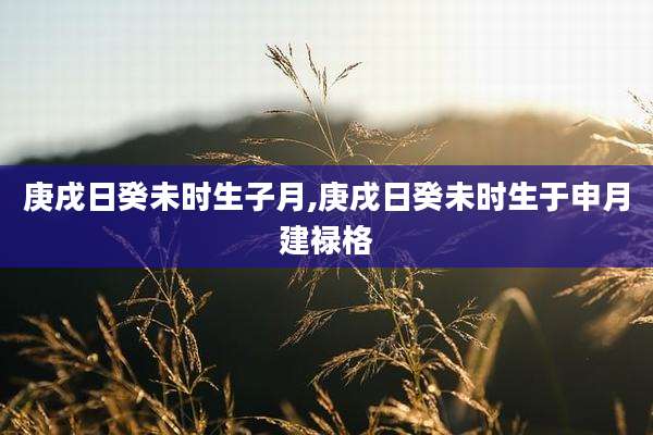 庚戌日癸未时生子月,庚戌日癸未时生于申月建禄格