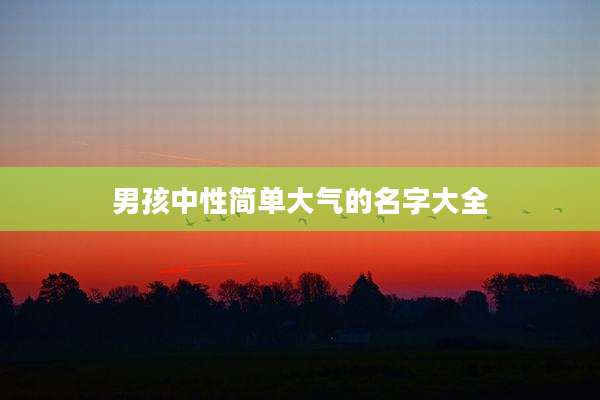 男孩中性简单大气的名字大全