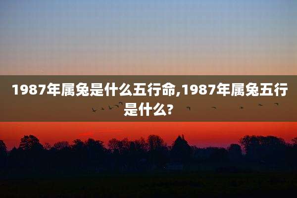 1987年属兔是什么五行命,1987年属兔五行是什么?