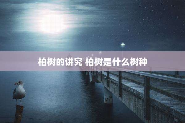 柏树的讲究 柏树是什么树种