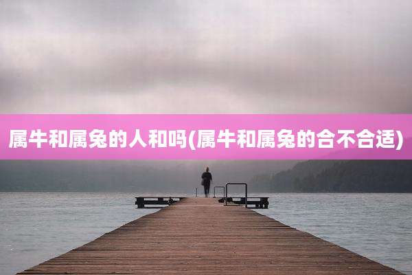 属牛和属兔的人和吗(属牛和属兔的合不合适)