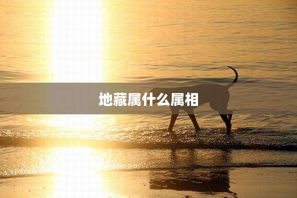 地藏属什么属相