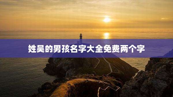姓吴的男孩名字大全免费两个字