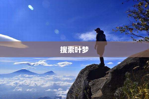 搜索叶梦