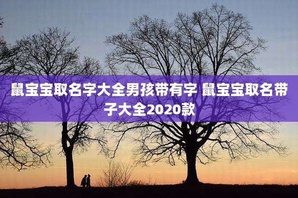 鼠宝宝取名字大全男孩带有字 鼠宝宝取名带子大全2020款