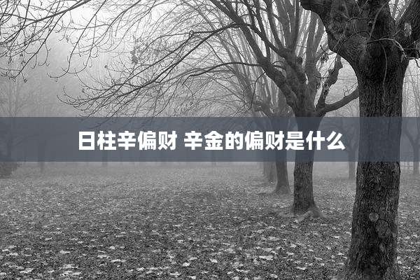 日柱辛偏财 辛金的偏财是什么