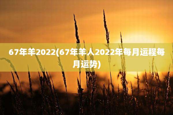 67年羊2022(67年羊人2022年每月运程每月运势)