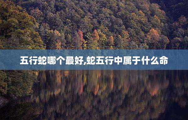 五行蛇哪个最好,蛇五行中属于什么命