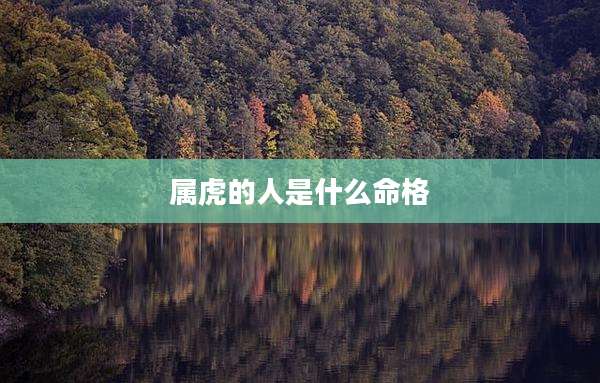属虎的人是什么命格