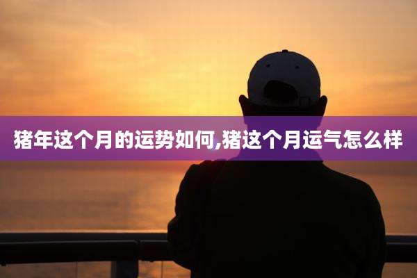 猪年这个月的运势如何,猪这个月运气怎么样