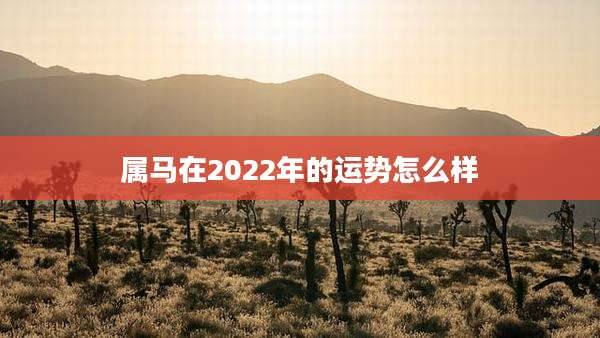 属马在2022年的运势怎么样