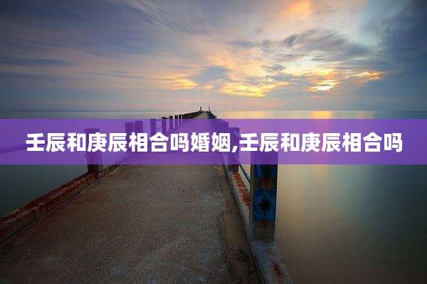 壬辰和庚辰相合吗婚姻,壬辰和庚辰相合吗