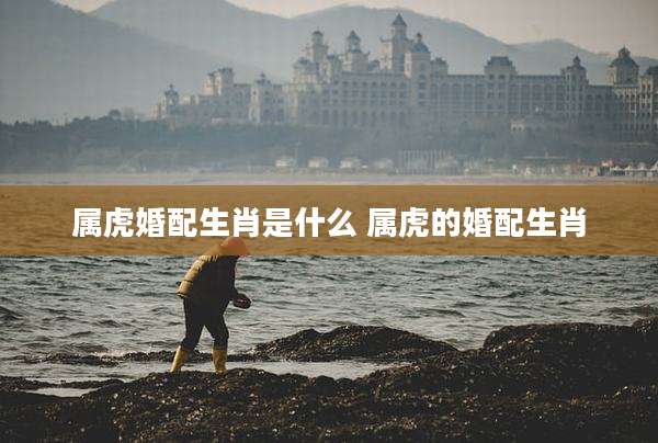 属虎婚配生肖是什么 属虎的婚配生肖