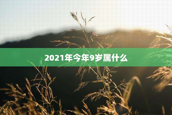2021年今年9岁属什么