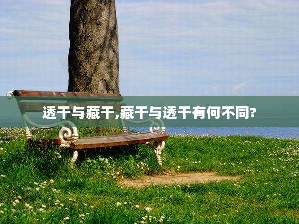 透干与藏干,藏干与透干有何不同?