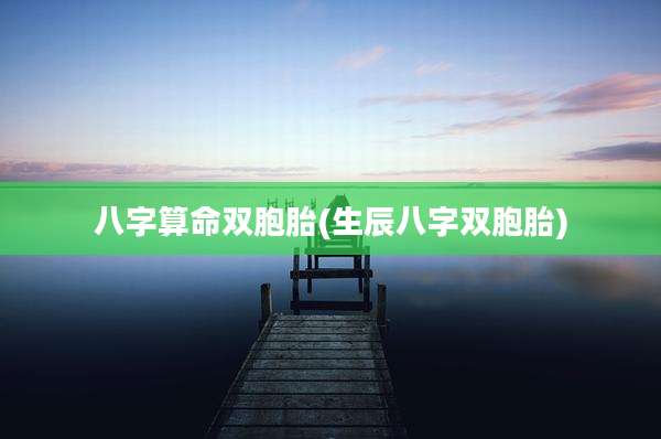八字算命双胞胎(生辰八字双胞胎)