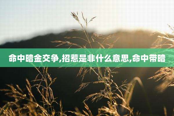 命中暗金交争,招惹是非什么意思,命中带暗