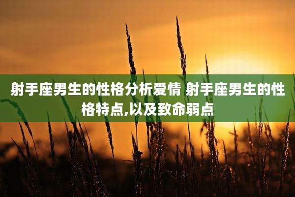 射手座男生的性格分析爱情 射手座男生的性格特点,以及致命弱点
