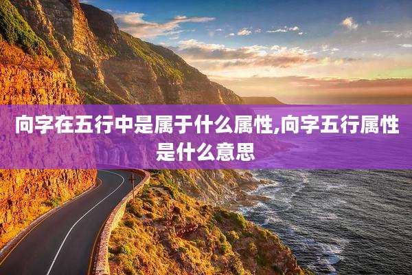 向字在五行中是属于什么属性,向字五行属性是什么意思