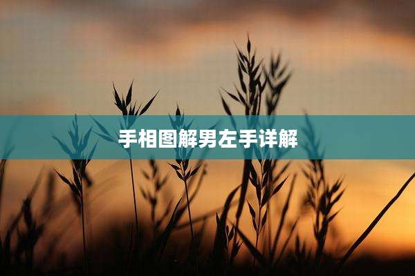手相图解男左手详解