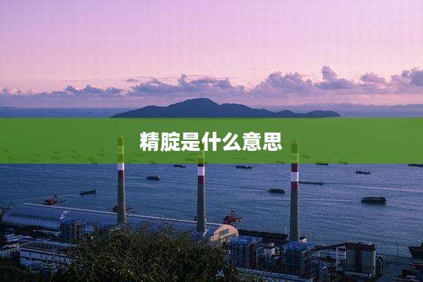 精腚是什么意思