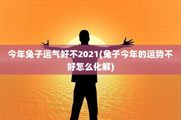 今年兔子运气好不2021(兔子今年的运势不好怎么化解)