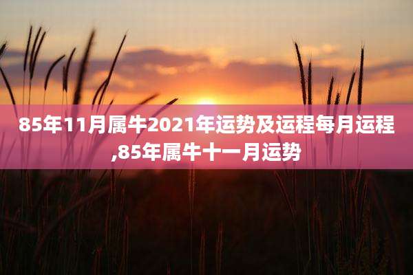 85年11月属牛2021年运势及运程每月运程,85年属牛十一月运势
