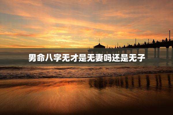 男命八字无才是无妻吗还是无子