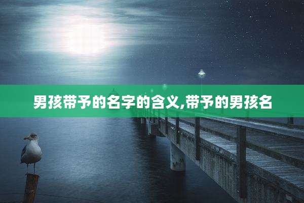 男孩带予的名字的含义,带予的男孩名