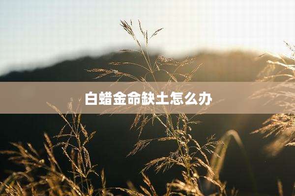 白蜡金命缺土怎么办