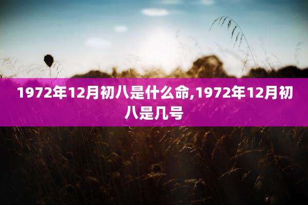 1972年12月初八是什么命,1972年12月初八是几号