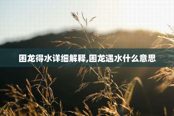 困龙得水详细解释,困龙遇水什么意思