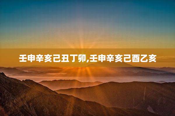 壬申辛亥己丑丁卯,壬申辛亥己酉乙亥