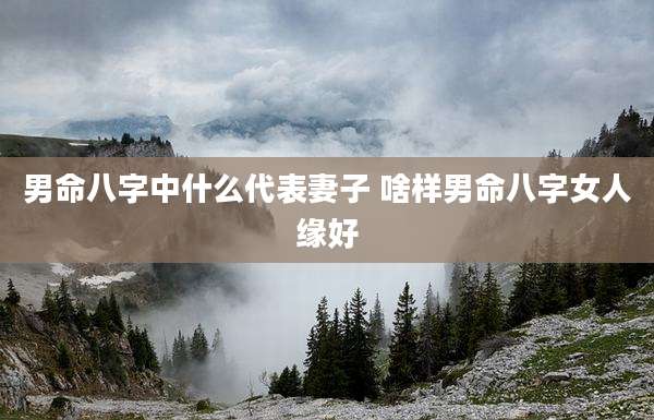 男命八字中什么代表妻子 啥样男命八字女人缘好