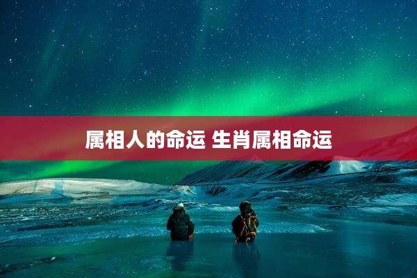 属相人的命运 生肖属相命运