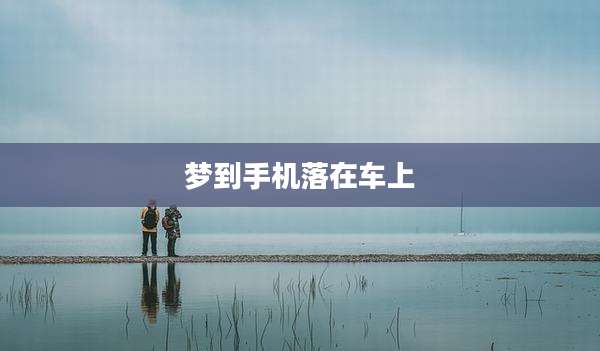 梦到手机落在车上